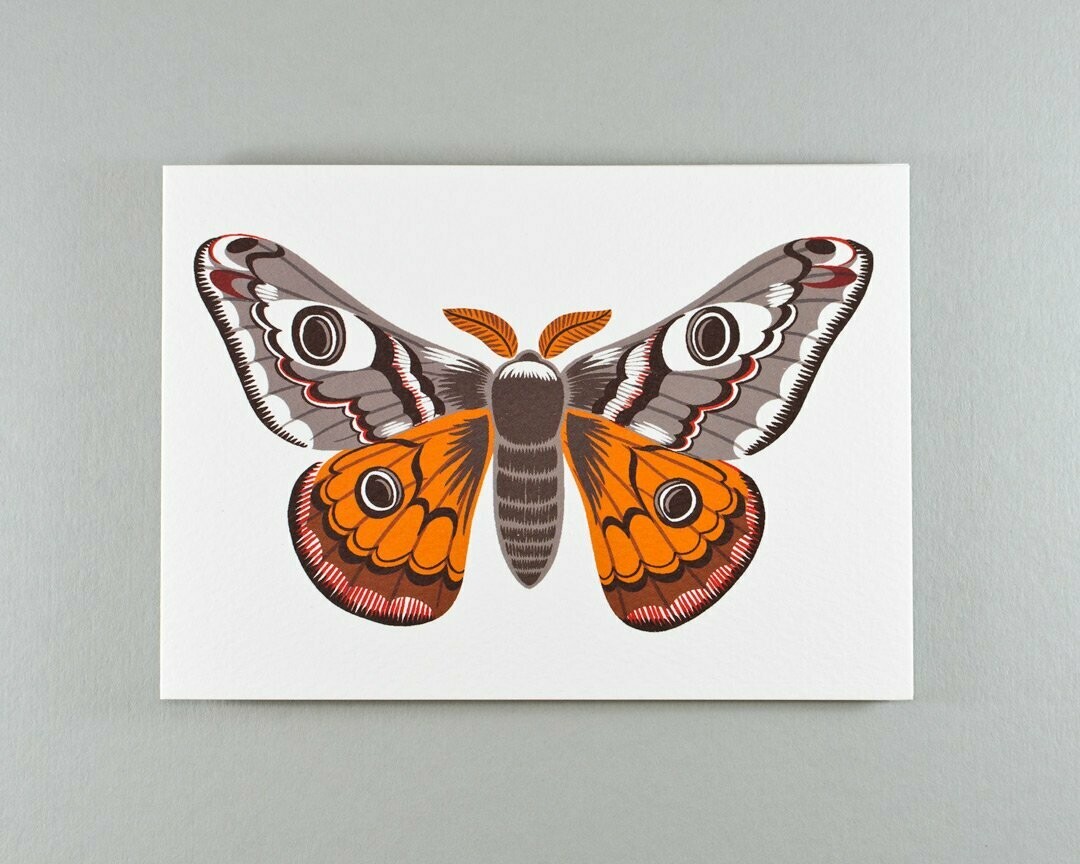 Emperor moth greeting card