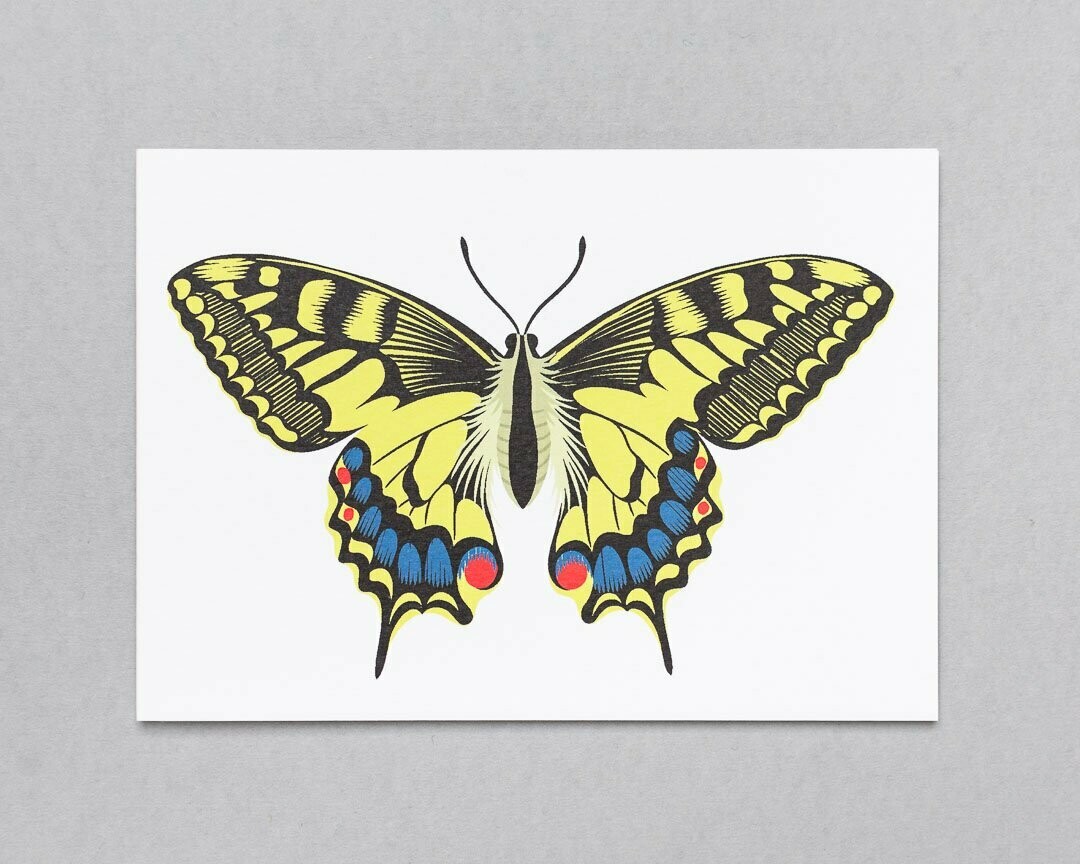 Swallowtail butterfly greeting card