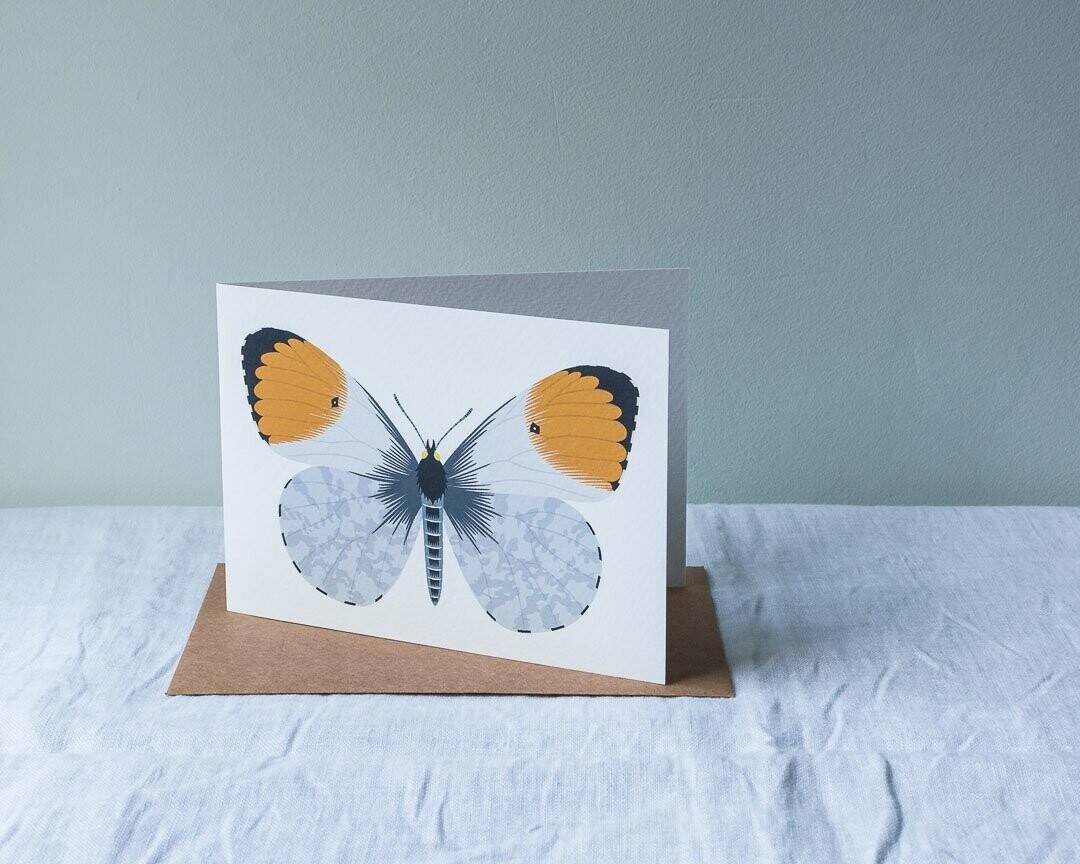 Orange tip butterfly greeting card
