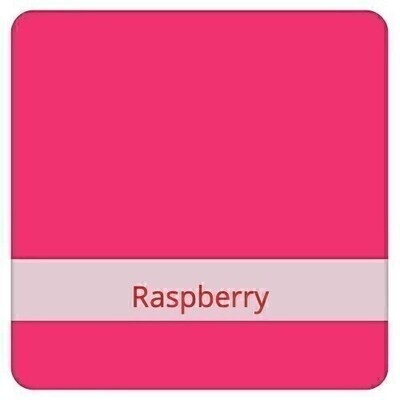 Reusable Freezer Bag Large - Raspberry