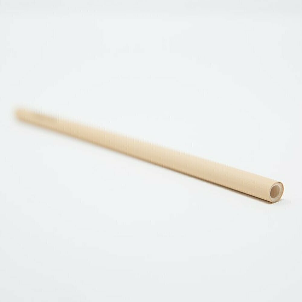 Paille en bambou - 20cm Moyen