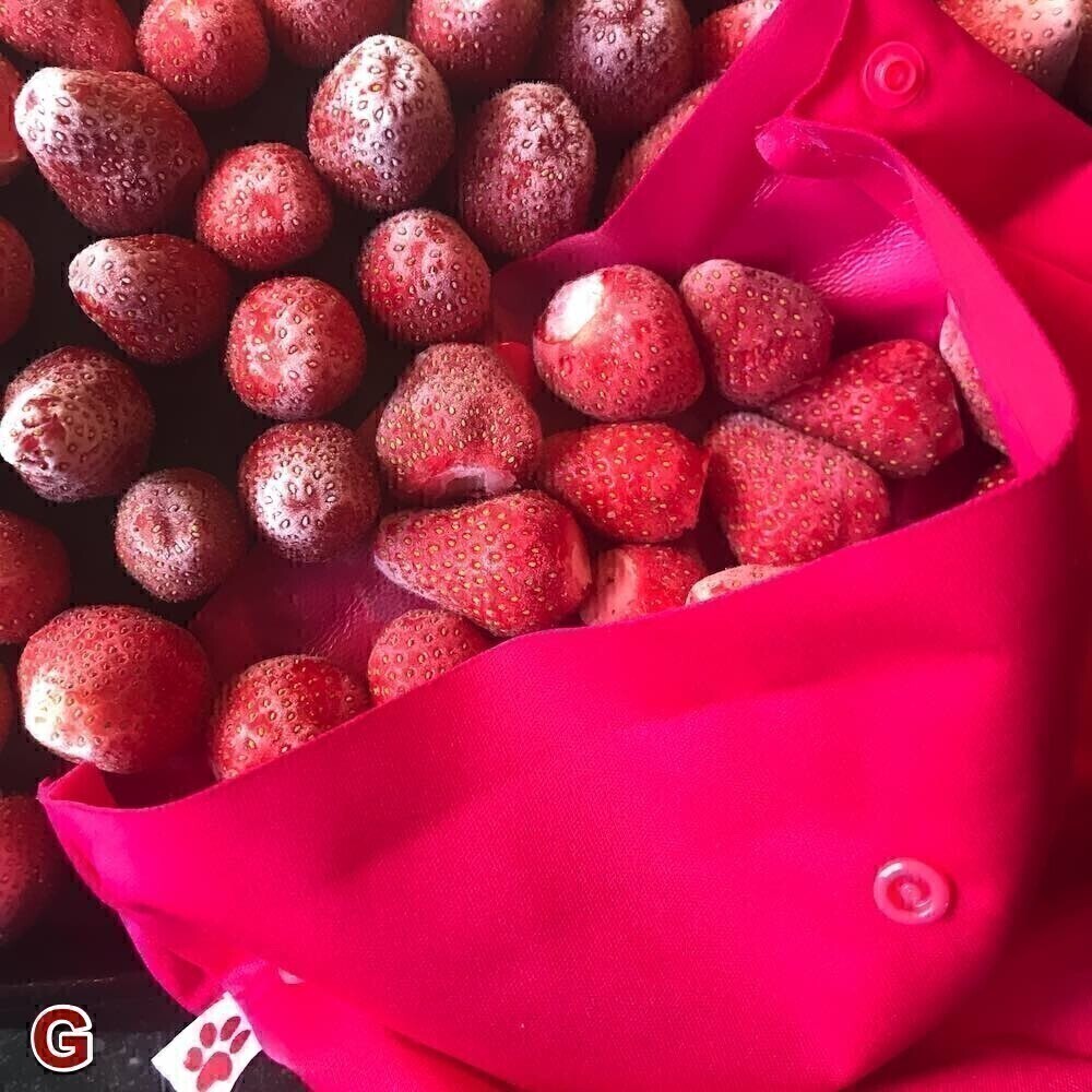 Sac de Congélation Réutilisable Moyen - Raspberry