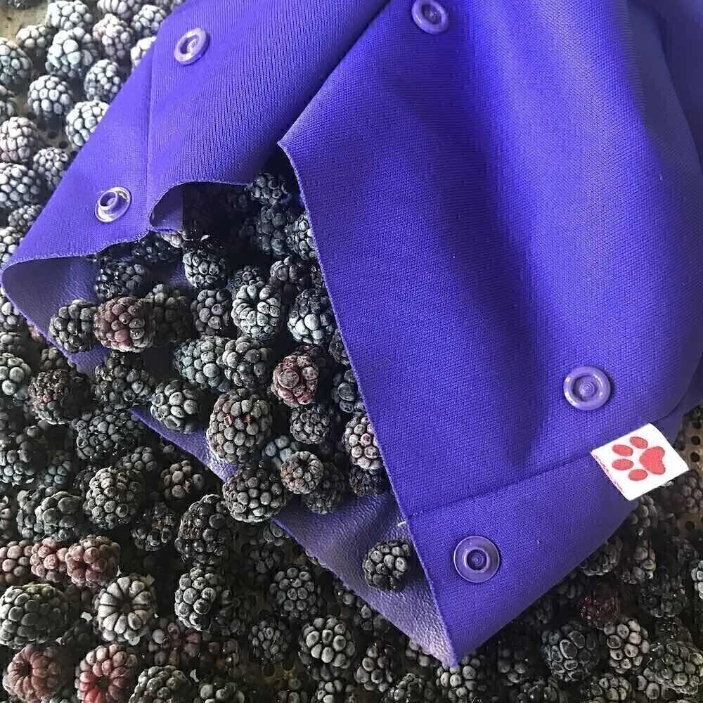 Sac de Congélation Réutilisable Moyen - Grape