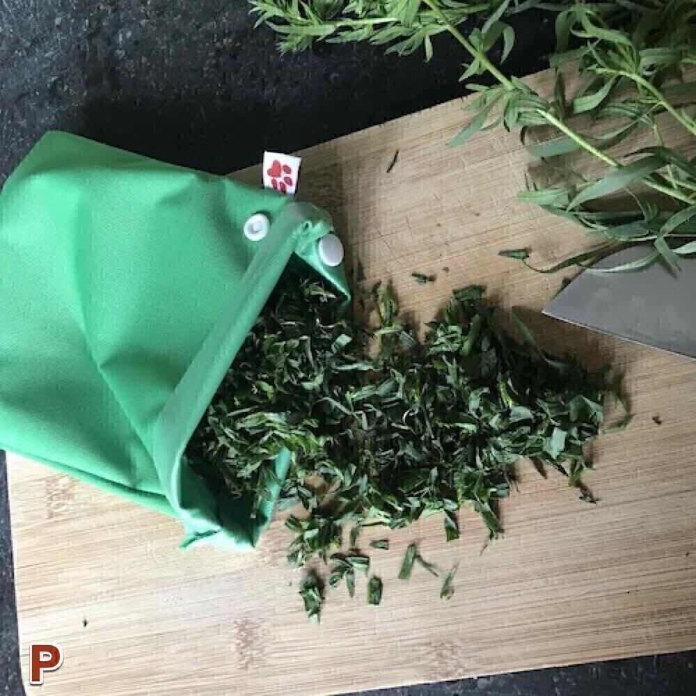 Sac de Congélation Réutilisable Grand - Green