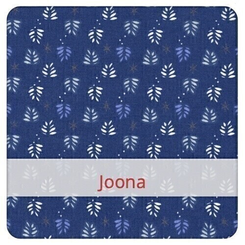 Serviette  20x20cm x 2: Joona & Jayden