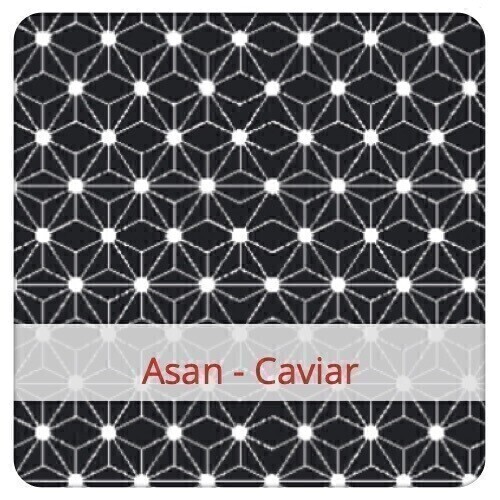 Baguette Bag - Asan - Caviar