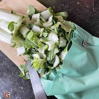 Reusable Freezer Bag XXL - Aloe
