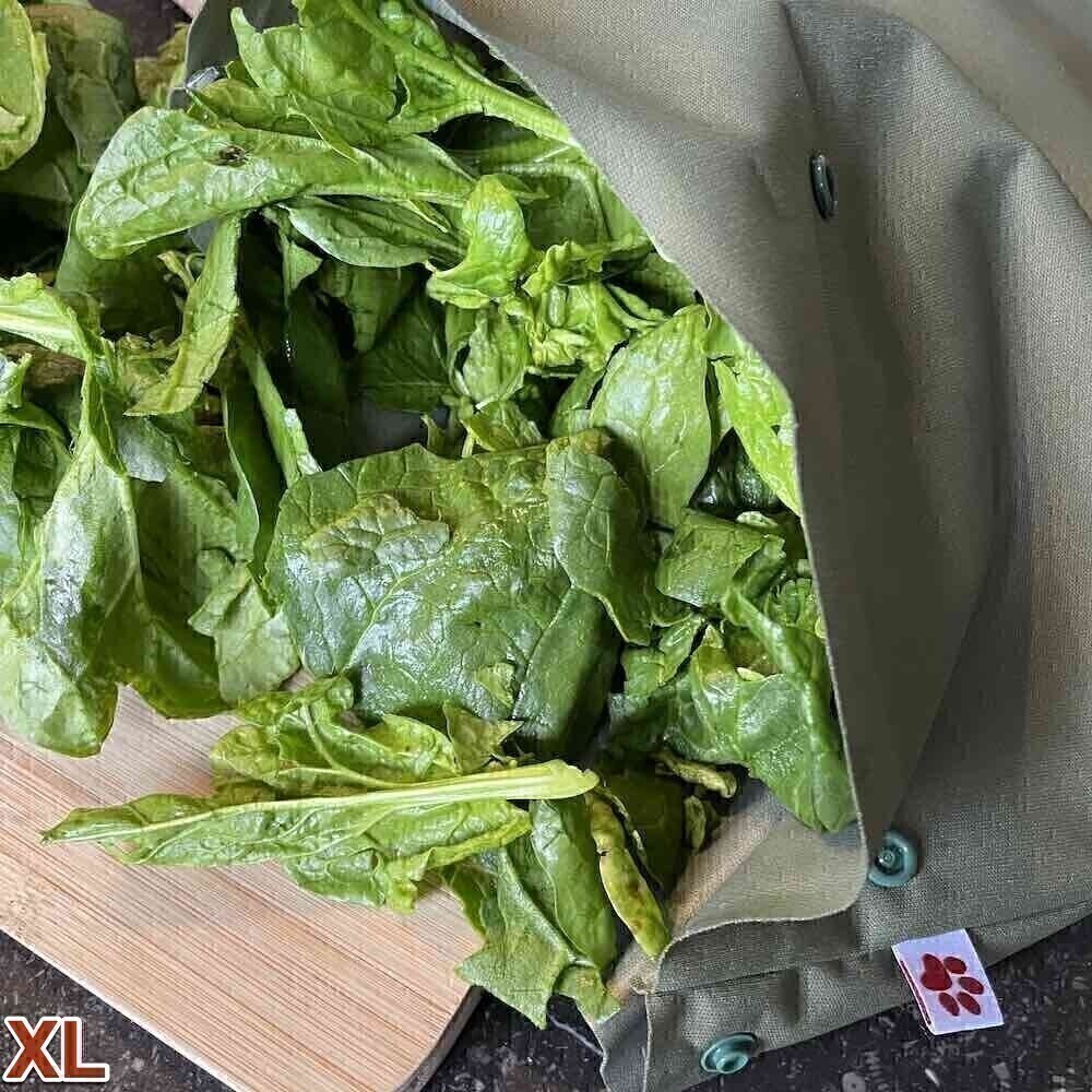Sac de Congélation Réutilisable Moyen - Olive