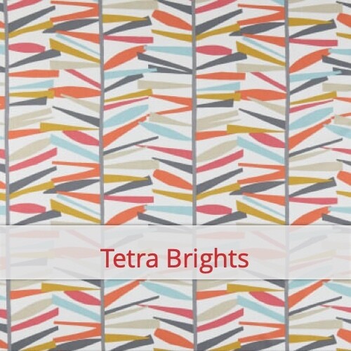 Chouchou - Tetra Brights
