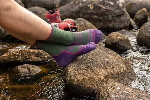 Darn Tough - Hiker: Womens Micro Crew - Moss - L
