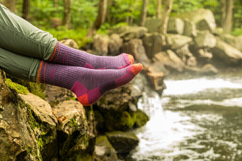 Darn Tough - Hiker: Womens Micro Crew - Plum - L