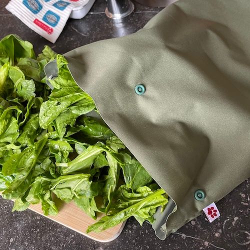 Sac de Congélation Réutilisable Grand - Olive