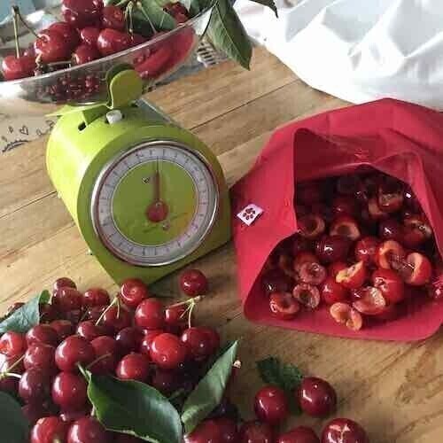 Reusable Freezer Bags: Medium