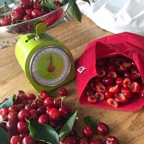 Reusable Freezer Bags: Medium