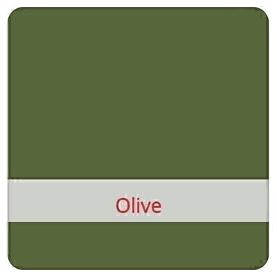 Sac de Congélation Réutilisable Grand - Olive