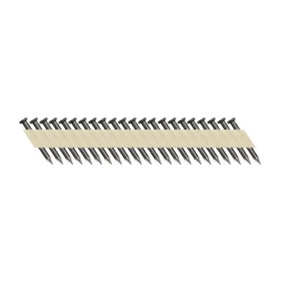 Ankernagel Scrail