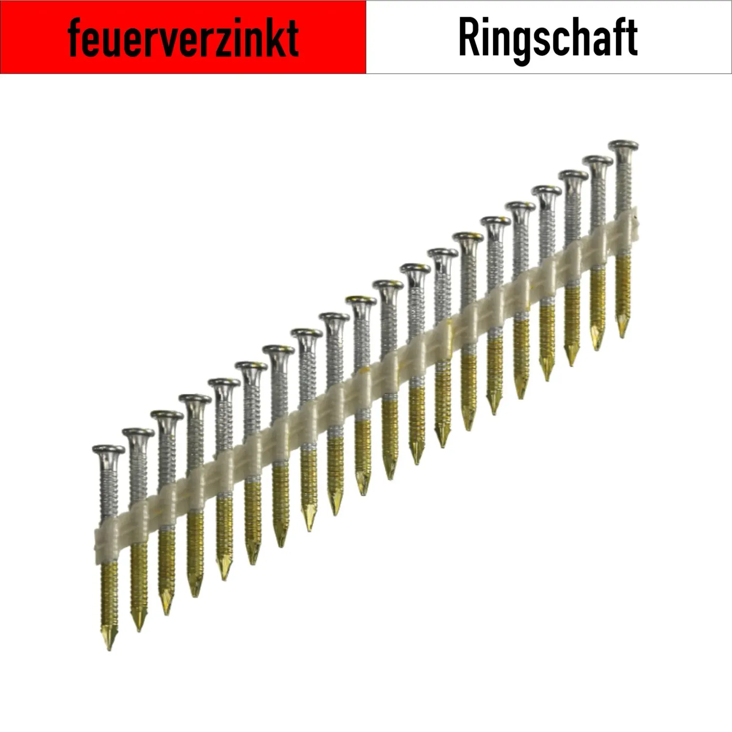 Senco NN24ASBMR Ankernagel 4.1x60 mm - feuerverzinkt - 1.000 Nägel