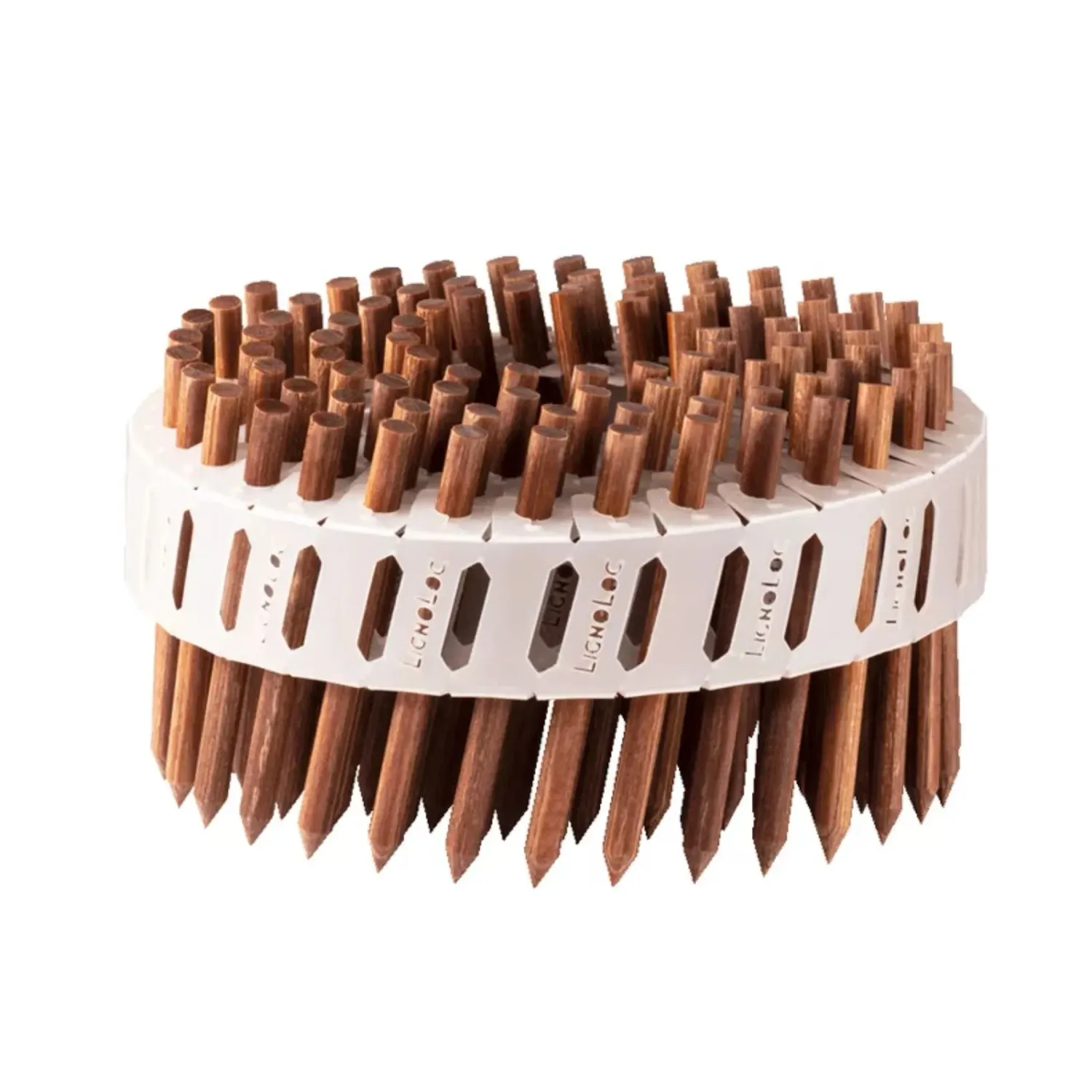 Beck LignoLoc Holznagel - F60 mit Kopf 58 mm