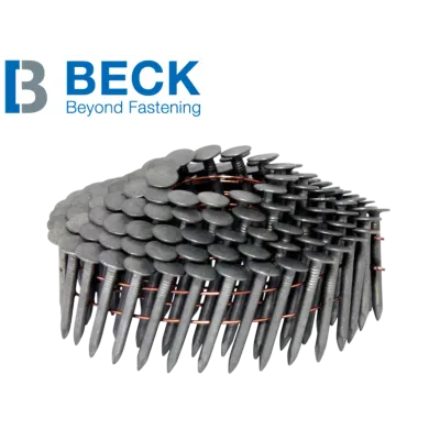 Beck Dachpappnagel - Draht - 3.0 x 22 mm verzinkt - 3.000 Nägel