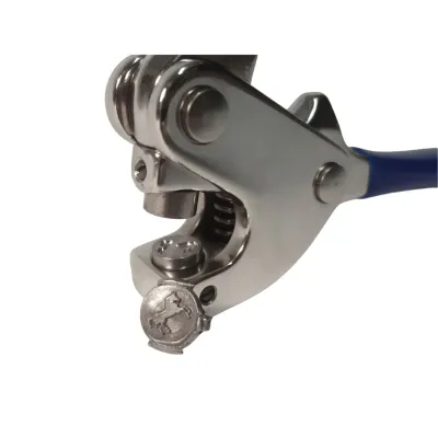 Plombenstempel mit Gravur