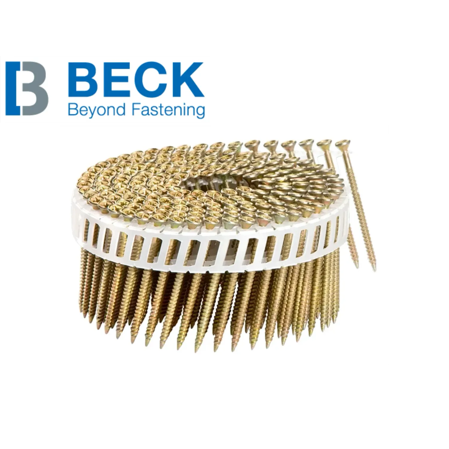 Beck Coilnagel CN25AGSC.200 Scrail - 2.5 x 38 mm - 2.000 Nägel