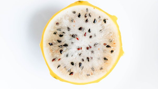 Pitaya