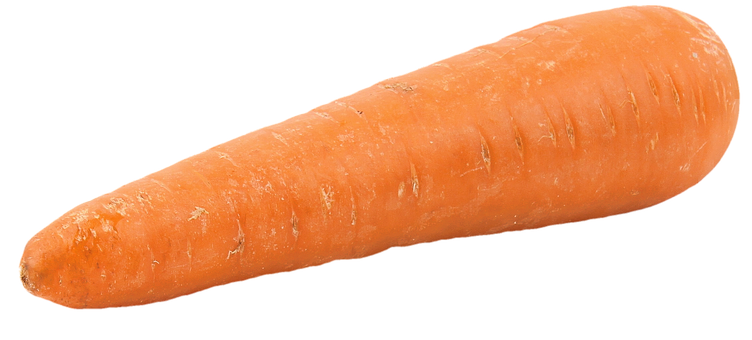 Carrot