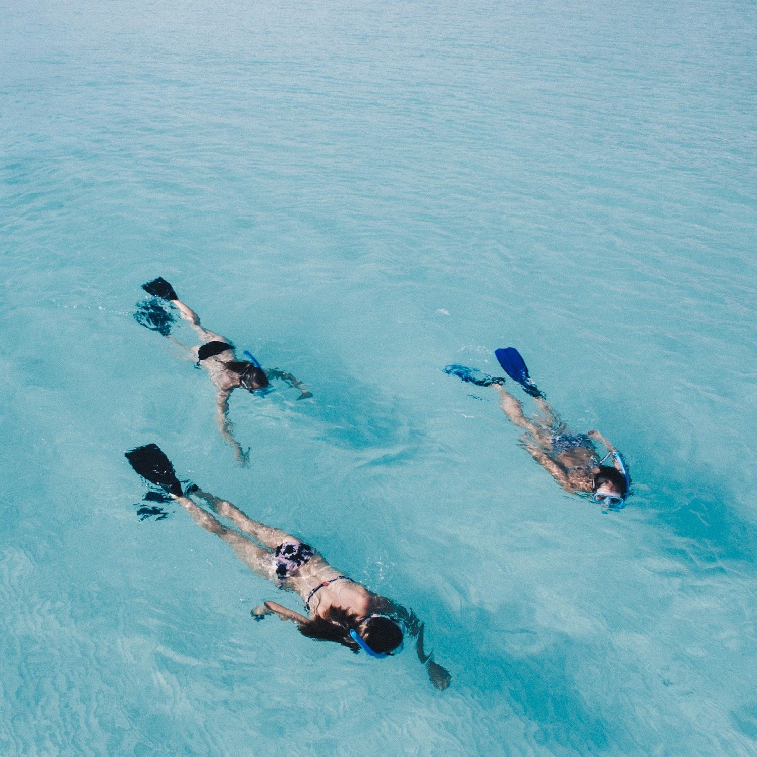 Discover Jamaica with Lizzy Jeff