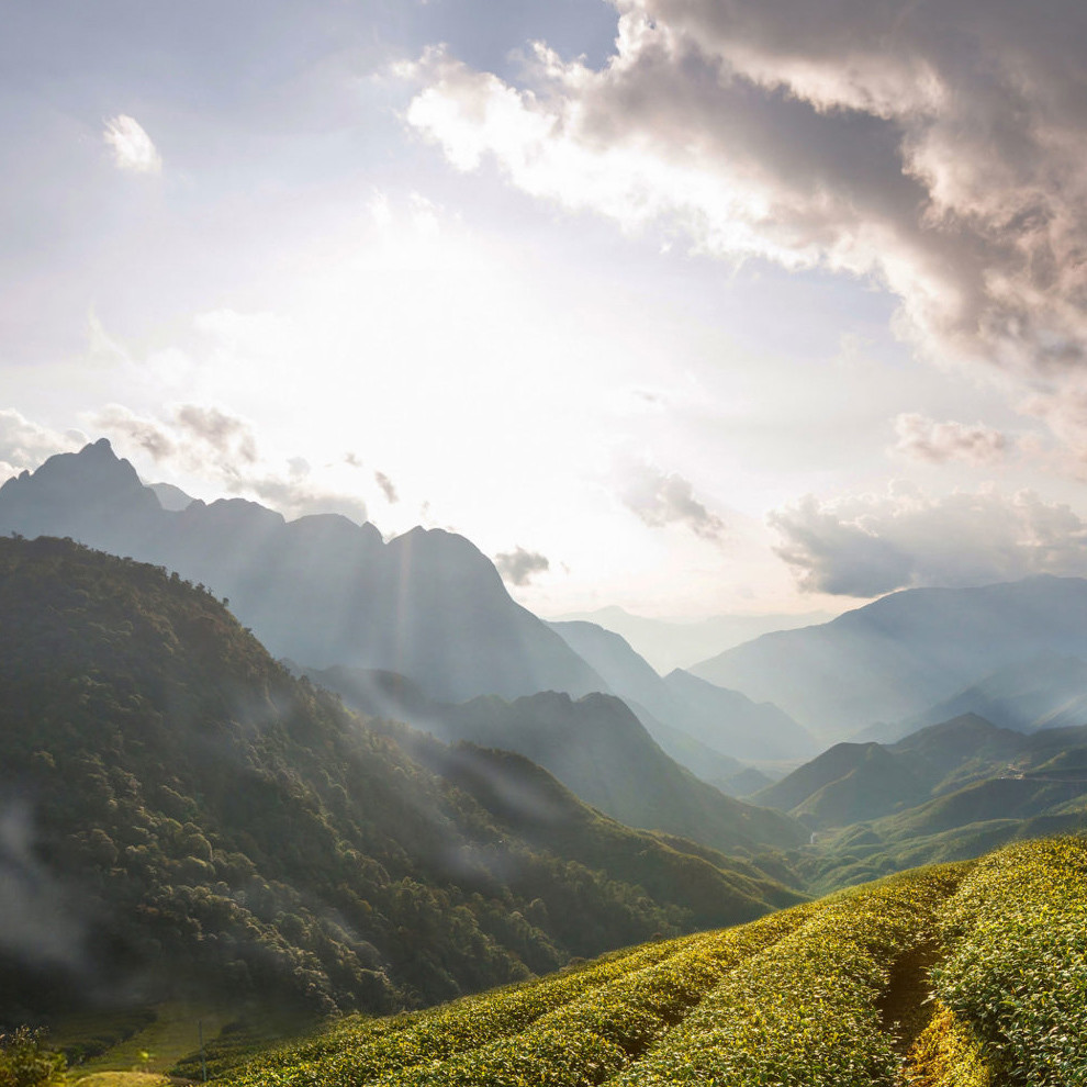 Discover Jamaica with Lizzy Jeff