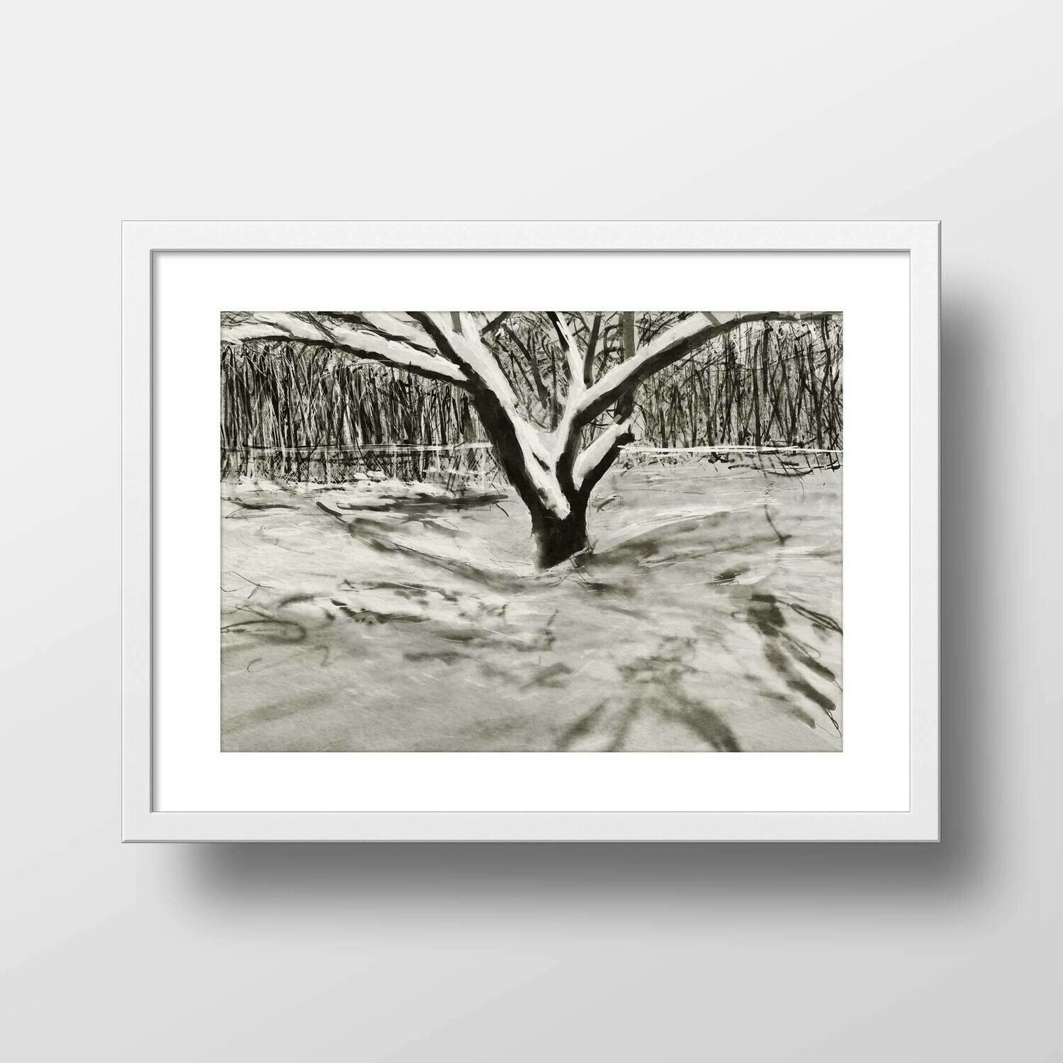 Dogwood in Winter | Giclée Print