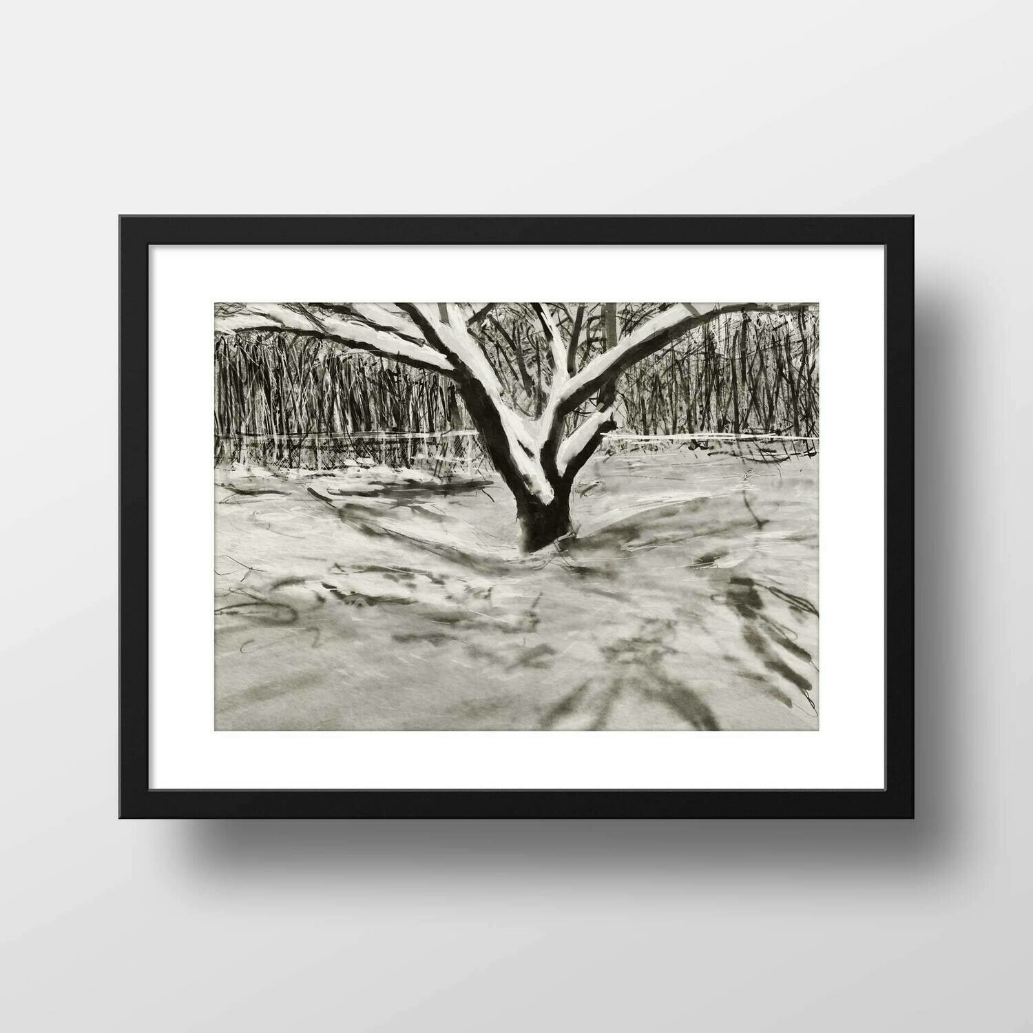 Dogwood in Winter | Giclée Print