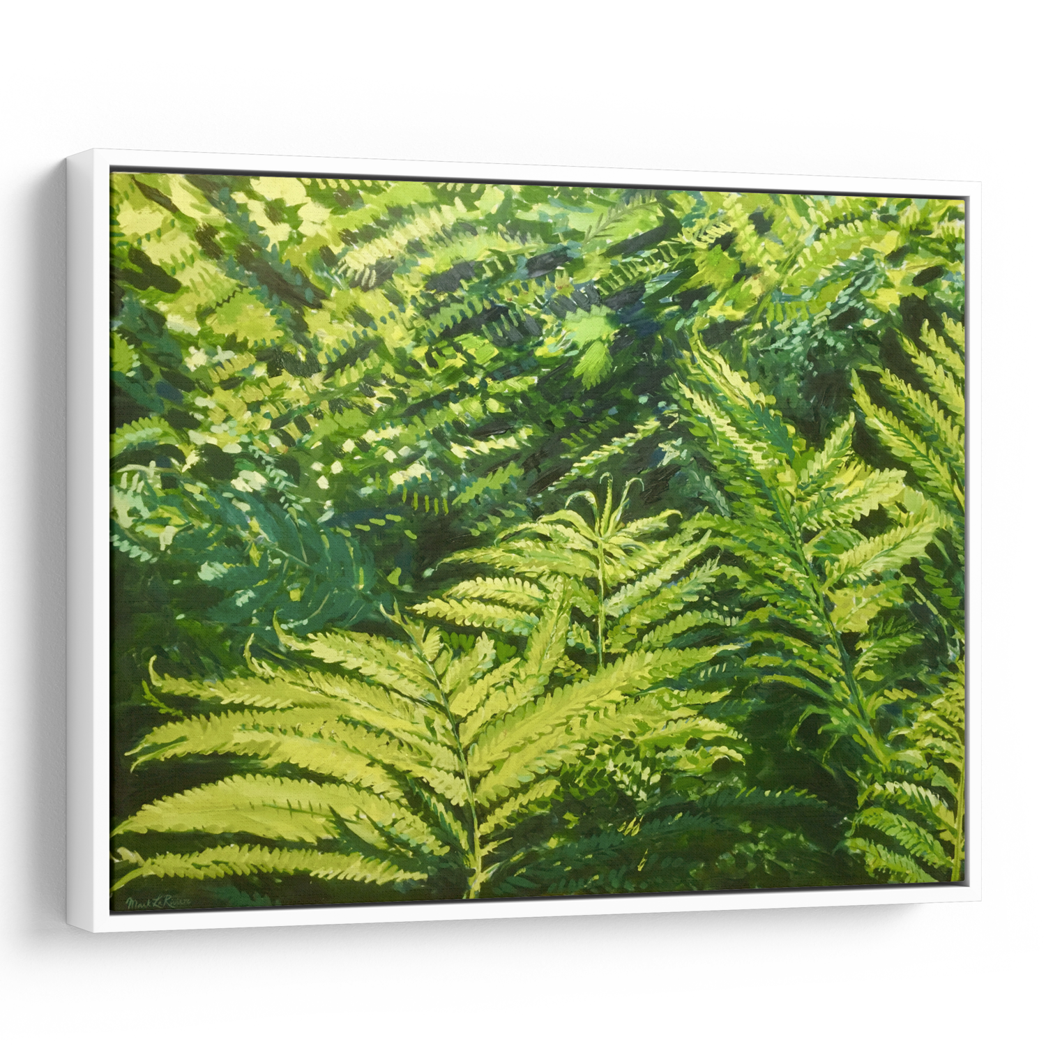 Lady Ferns | Large Print on Canvas