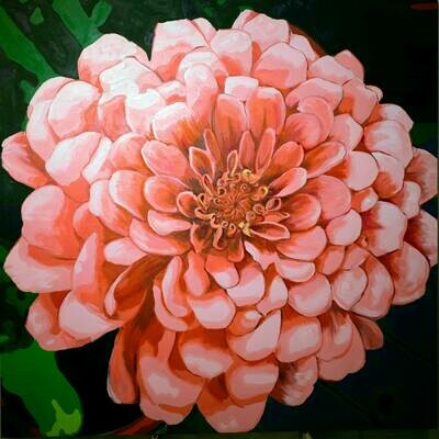 Zinnia | Original Oil Painting