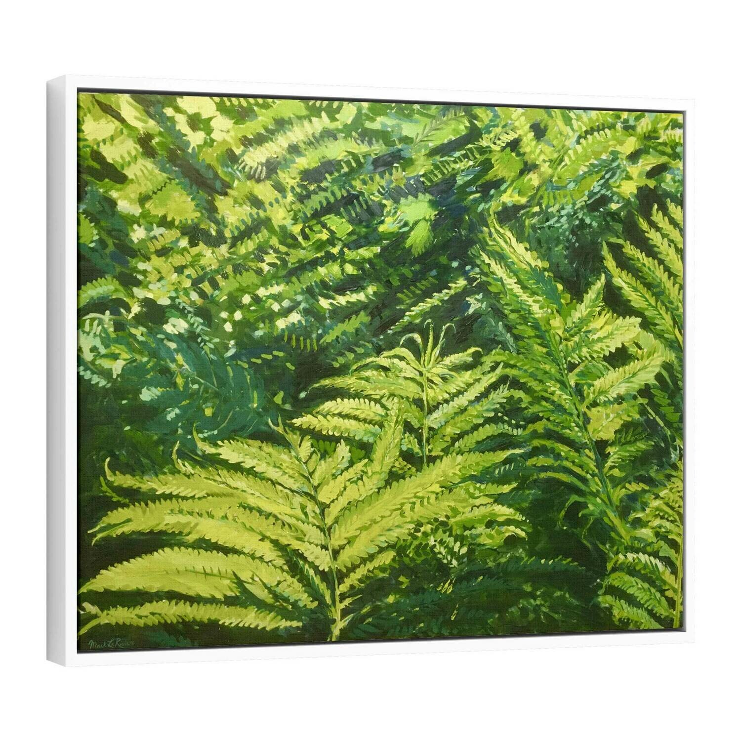 Lady Ferns | Original Oil Painting Lady Ferns | Original Oil Painting