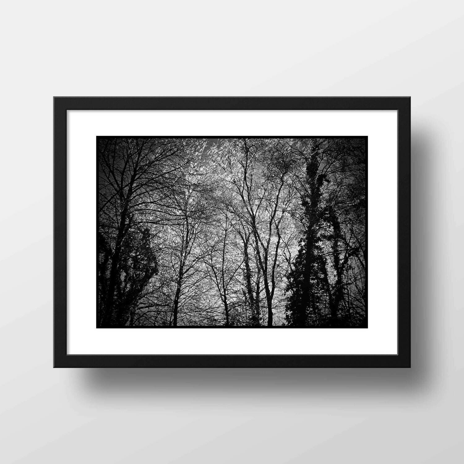 Frozen | Fine Art Photograph