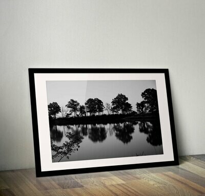 Tod’s Point Reflections