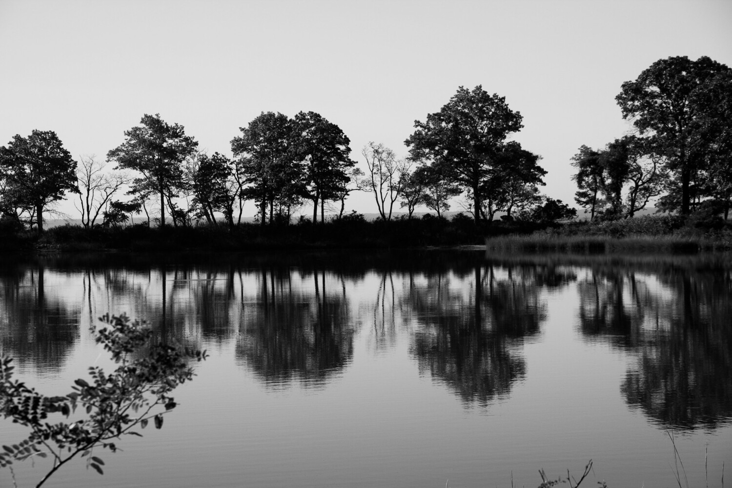 Tod’s Point Reflections, Frame Options: No Frame