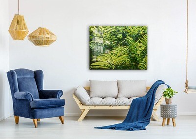 Lady Ferns | Vivid Print on Acrylic