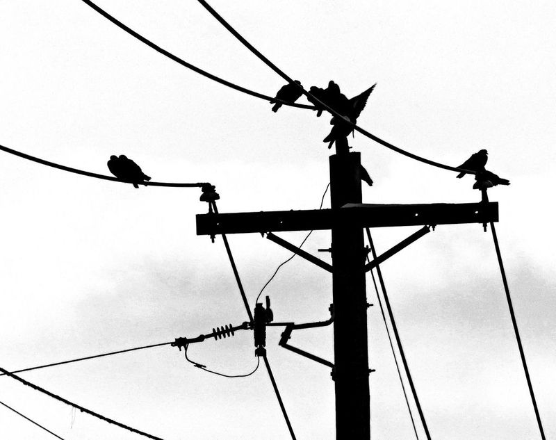 Black &amp; White Photos