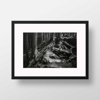 Roots in Vermont: Moss Glen Falls, Stowe, VT