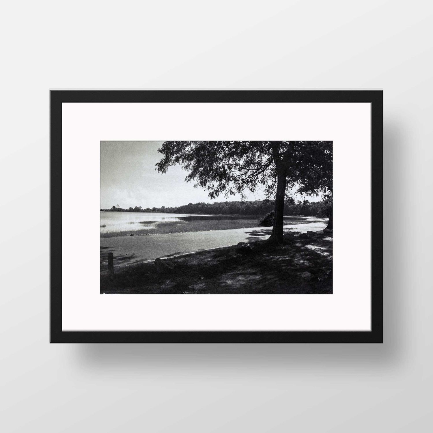 Tod's Point Driftway