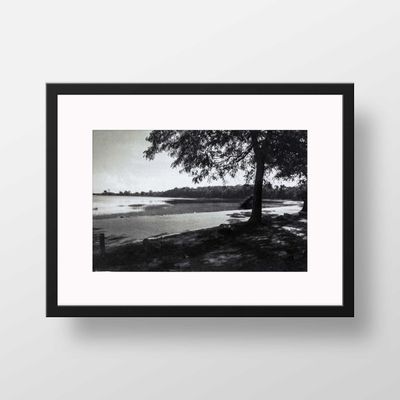 Tod's Point Driftway