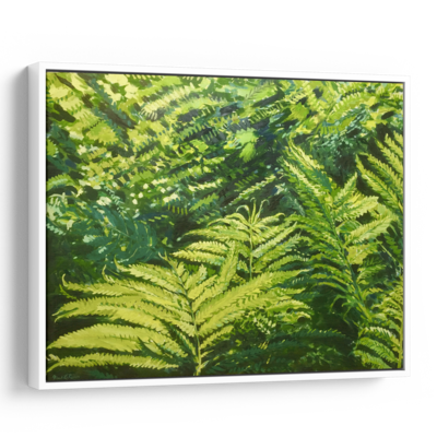 Lady Ferns | Large Print on Canvas