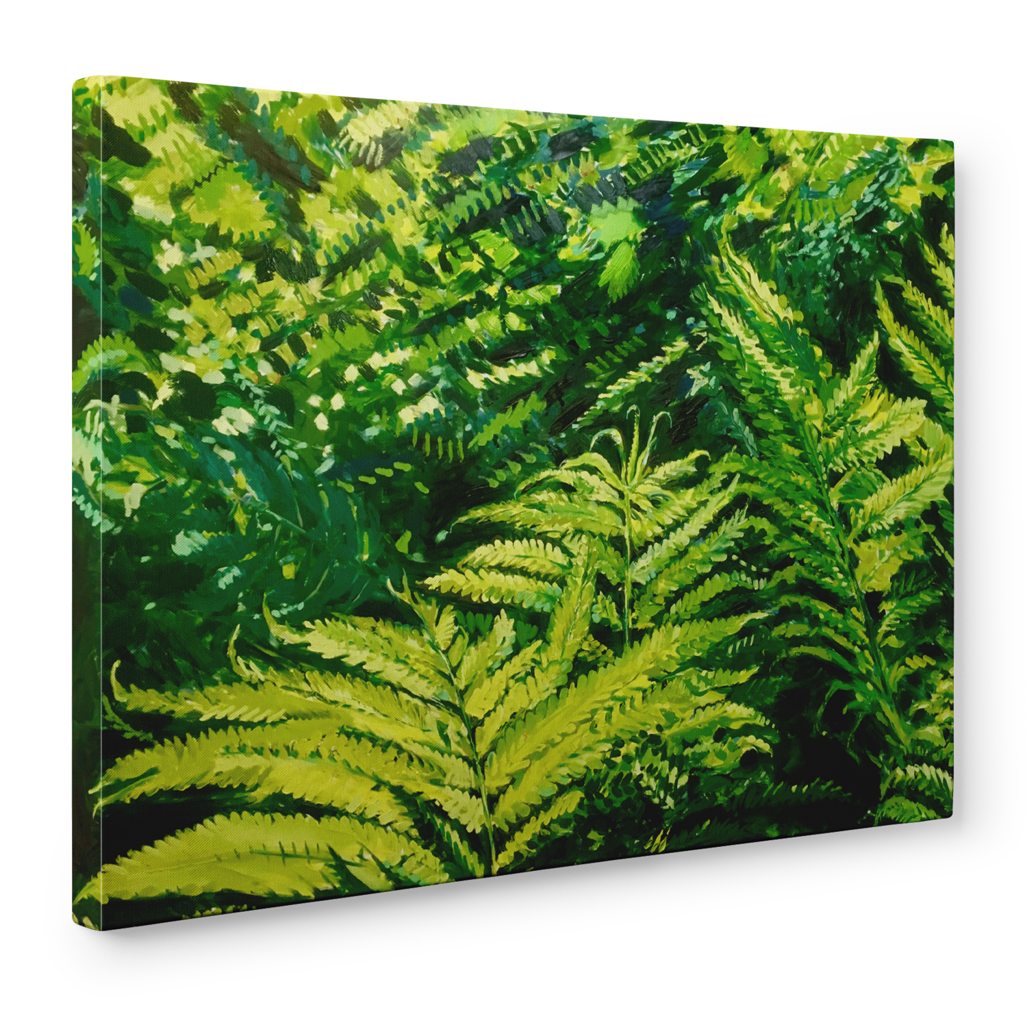 Lady Ferns | Large Print on Canvas