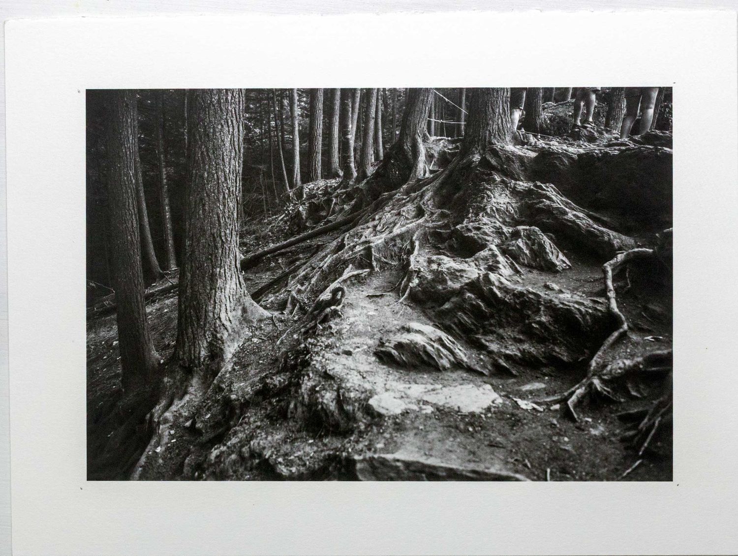 Roots in Vermont: Moss Glen Falls, Stowe, VT