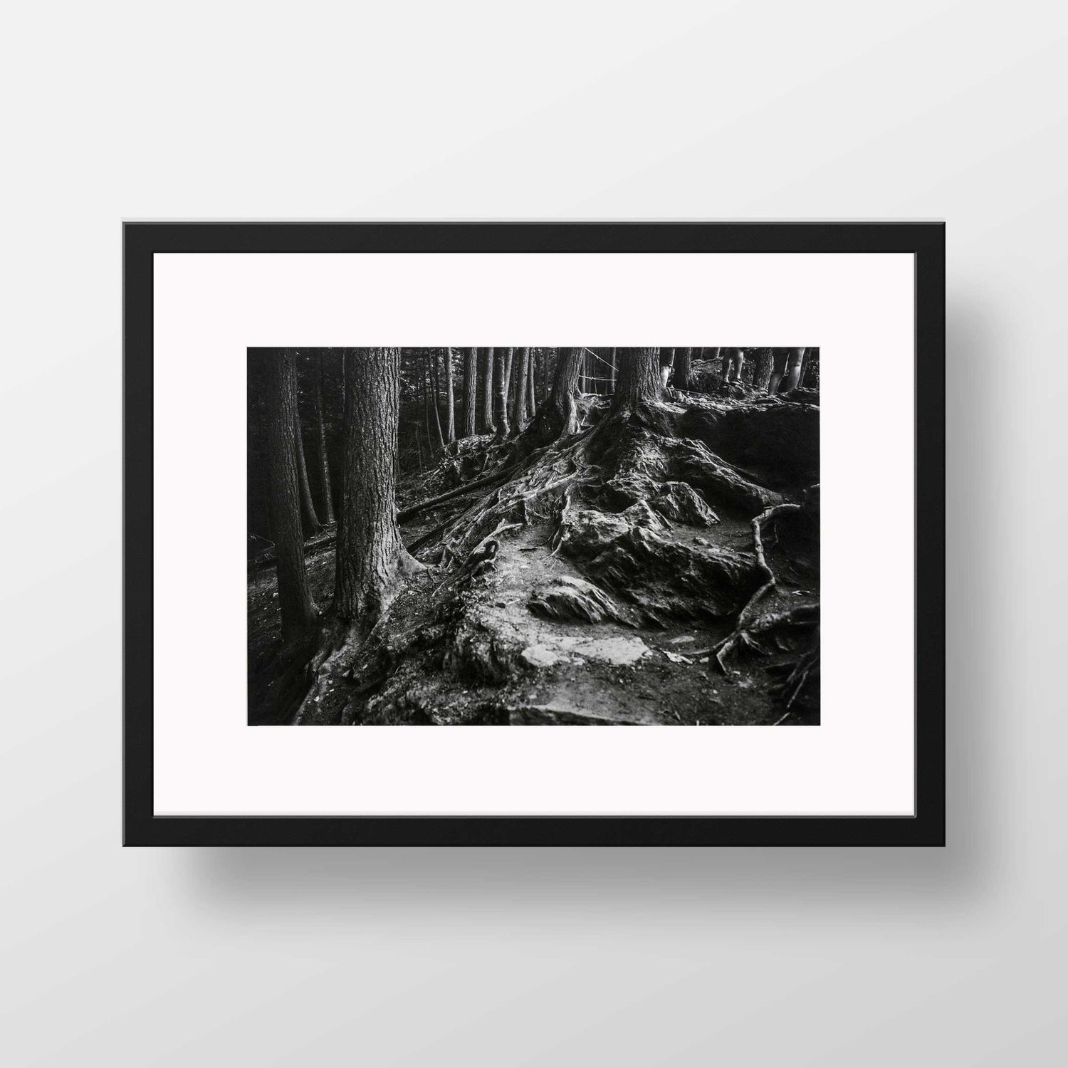 Roots in Vermont: Moss Glen Falls, Stowe, VT