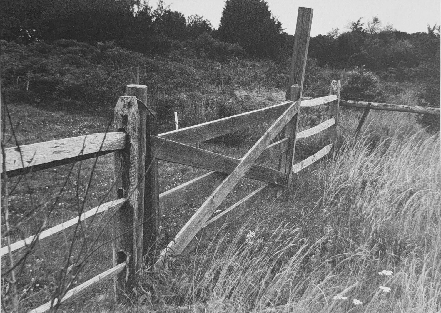 Farm Gate