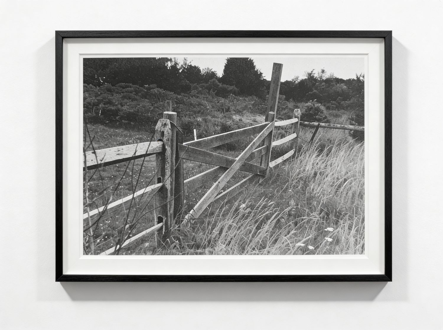 Farm Gate