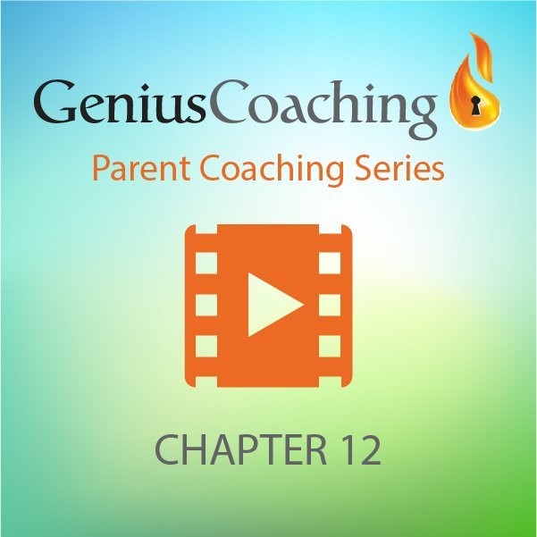 CHAPTER 12 - “My Bright Child is Aggressive and Explosive”
