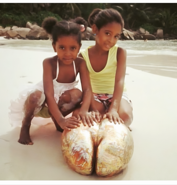 Deine Coco de Mer Skulptur Online-bestellen